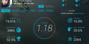 Steam profile statistics in CS 2