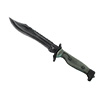 Bowie Knife