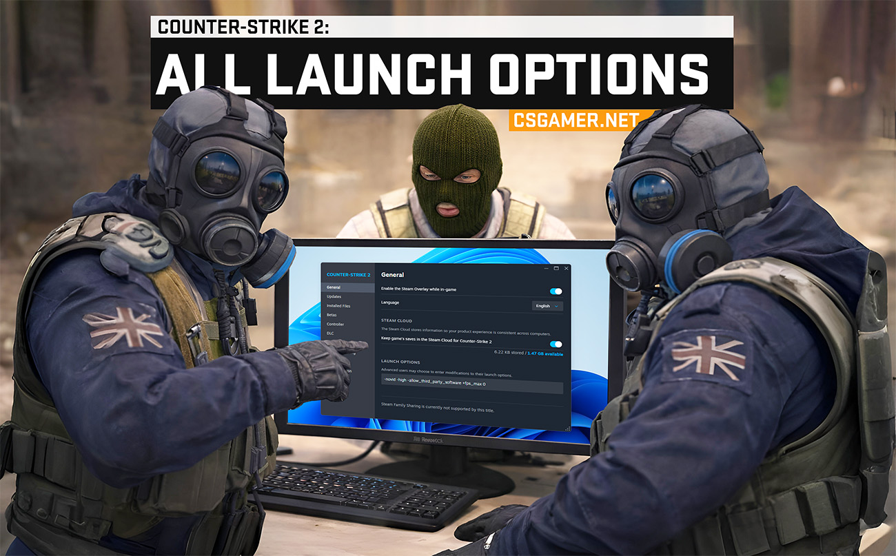 CS2 Launch Options